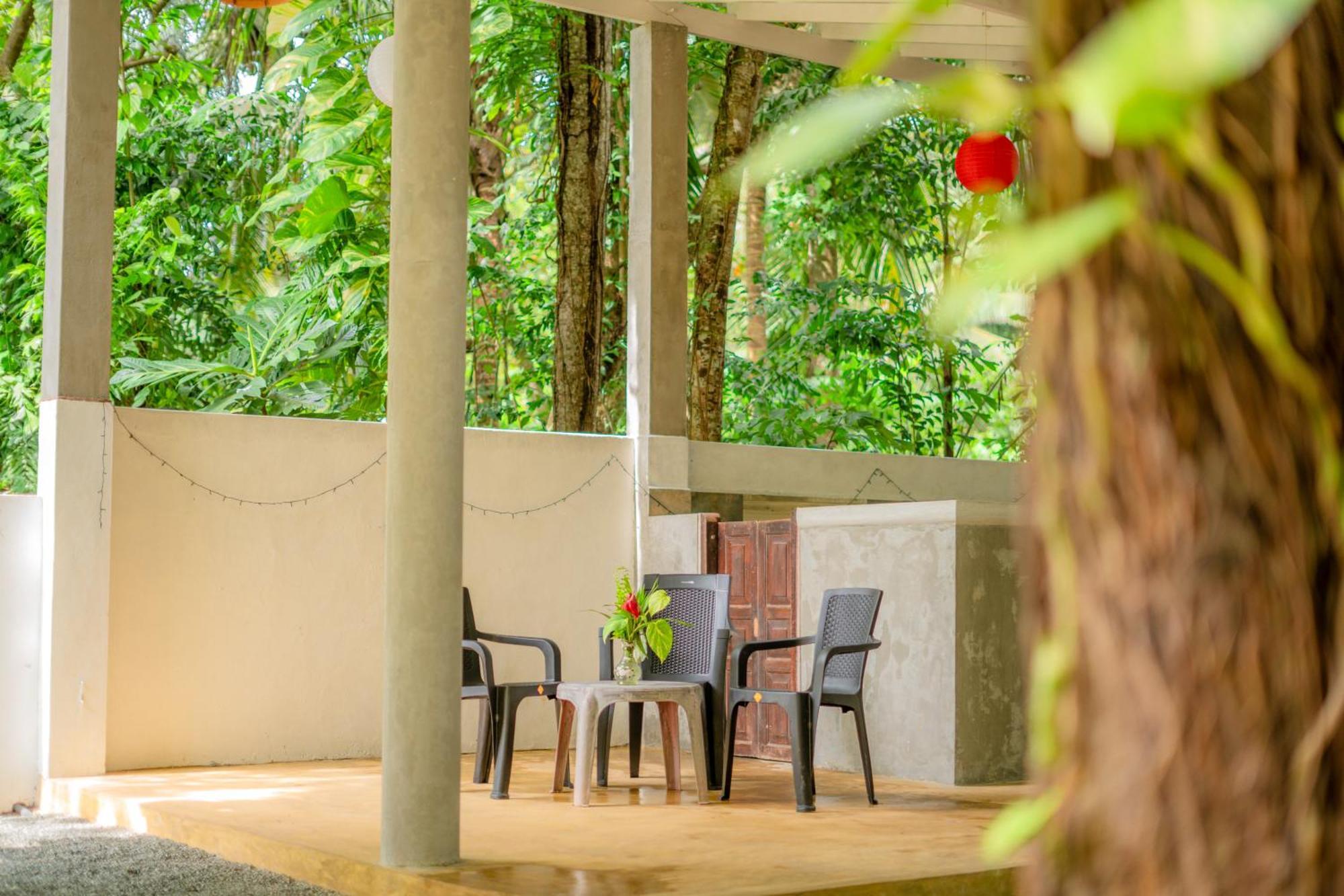Monkey Villa 希克杜沃 外观 照片