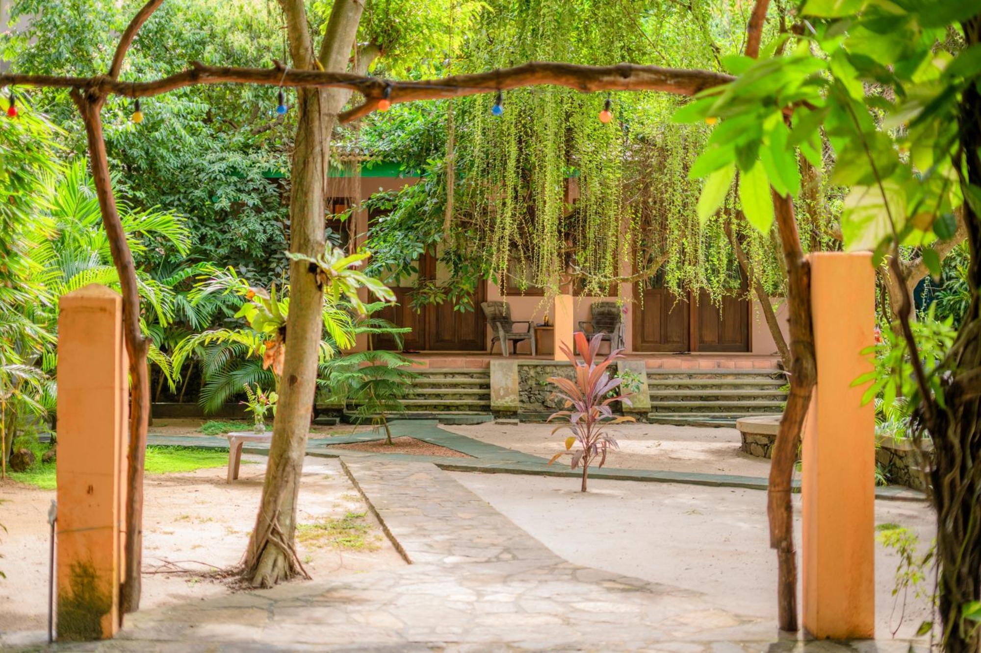 Monkey Villa 希克杜沃 外观 照片