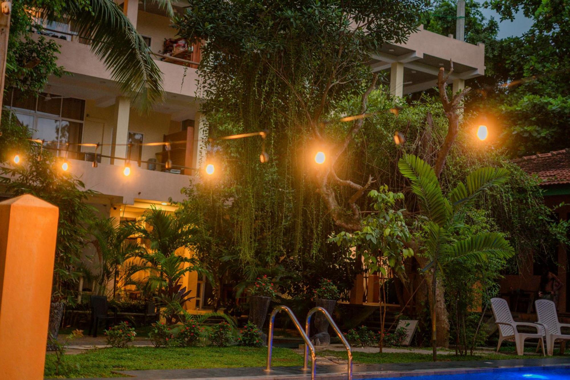 Monkey Villa 希克杜沃 外观 照片